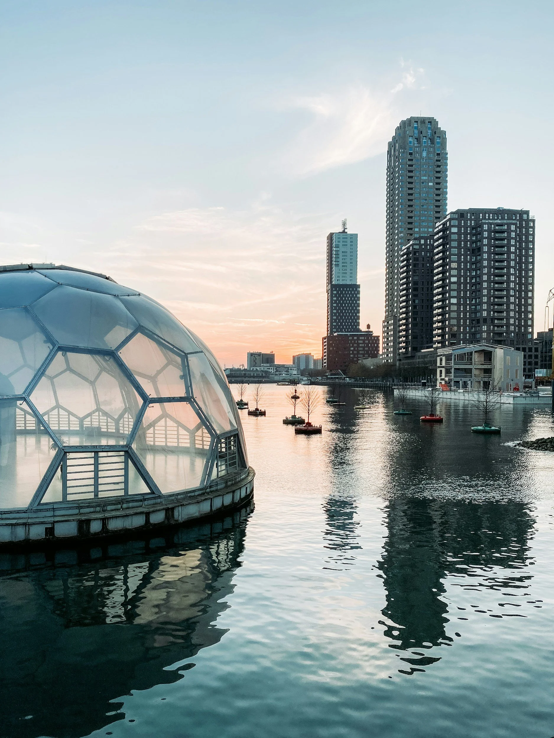 Rotterdam Rijnhaven on Water